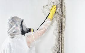 Best Mold Prevention Services  in Birmingham, AL